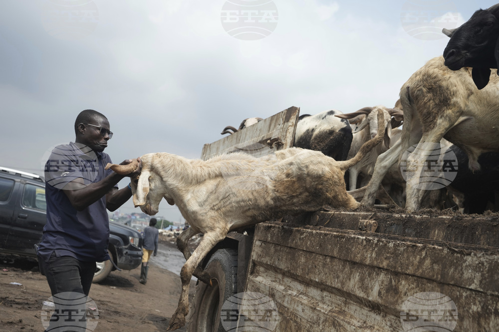 Nigeria Eid Al-Adha