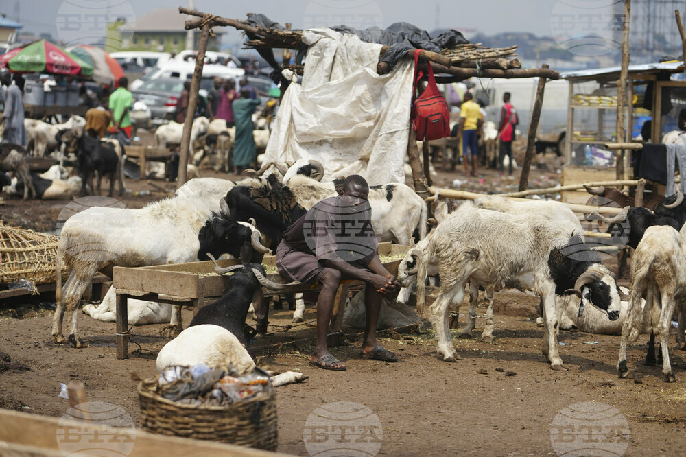Nigeria Eid Al-Adha