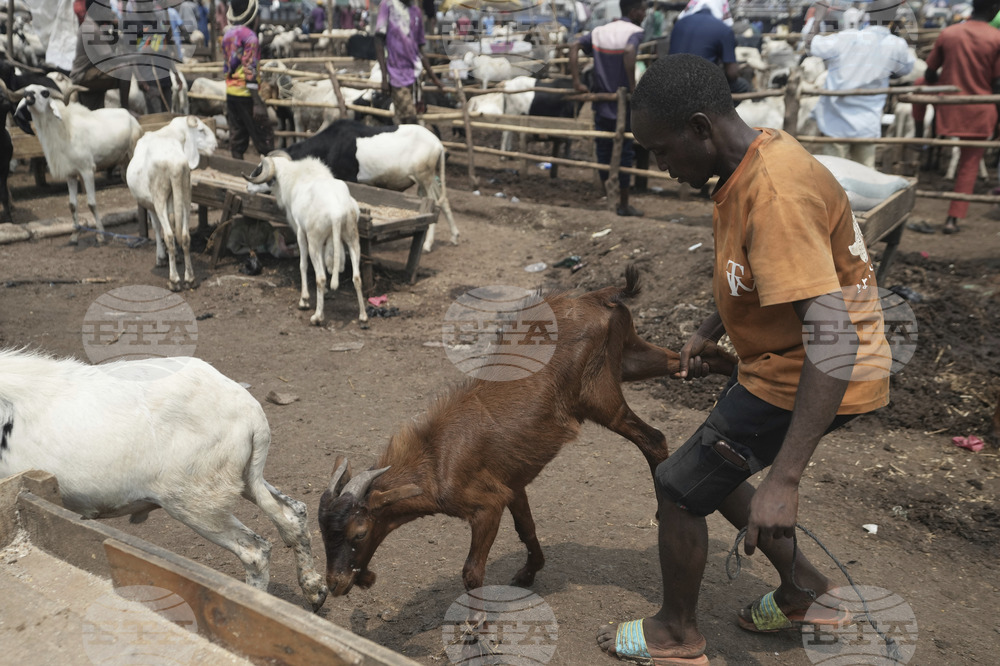 Nigeria Eid Al-Adha