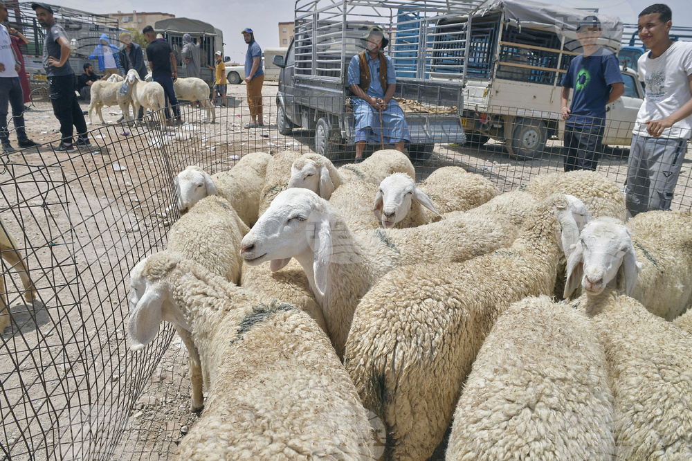 Algeria Eid al-Adha