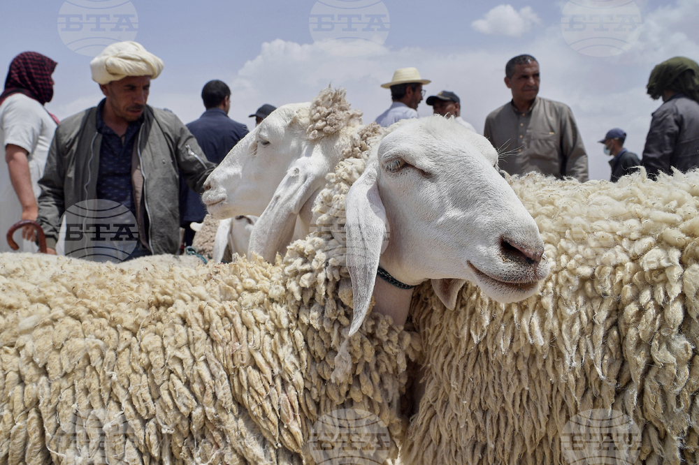 APTOPIX Algeria Eid al-Adha