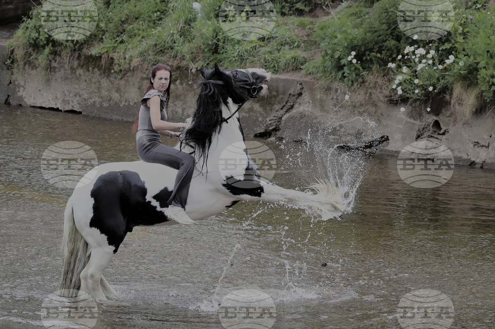 Britain Horse Fair