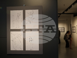 Матилда Финци - изложба