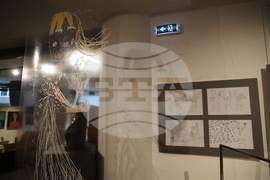 Матилда Финци - изложба