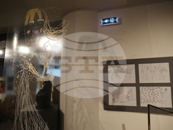 Матилда Финци - изложба