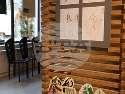 Матилда Финци - изложба