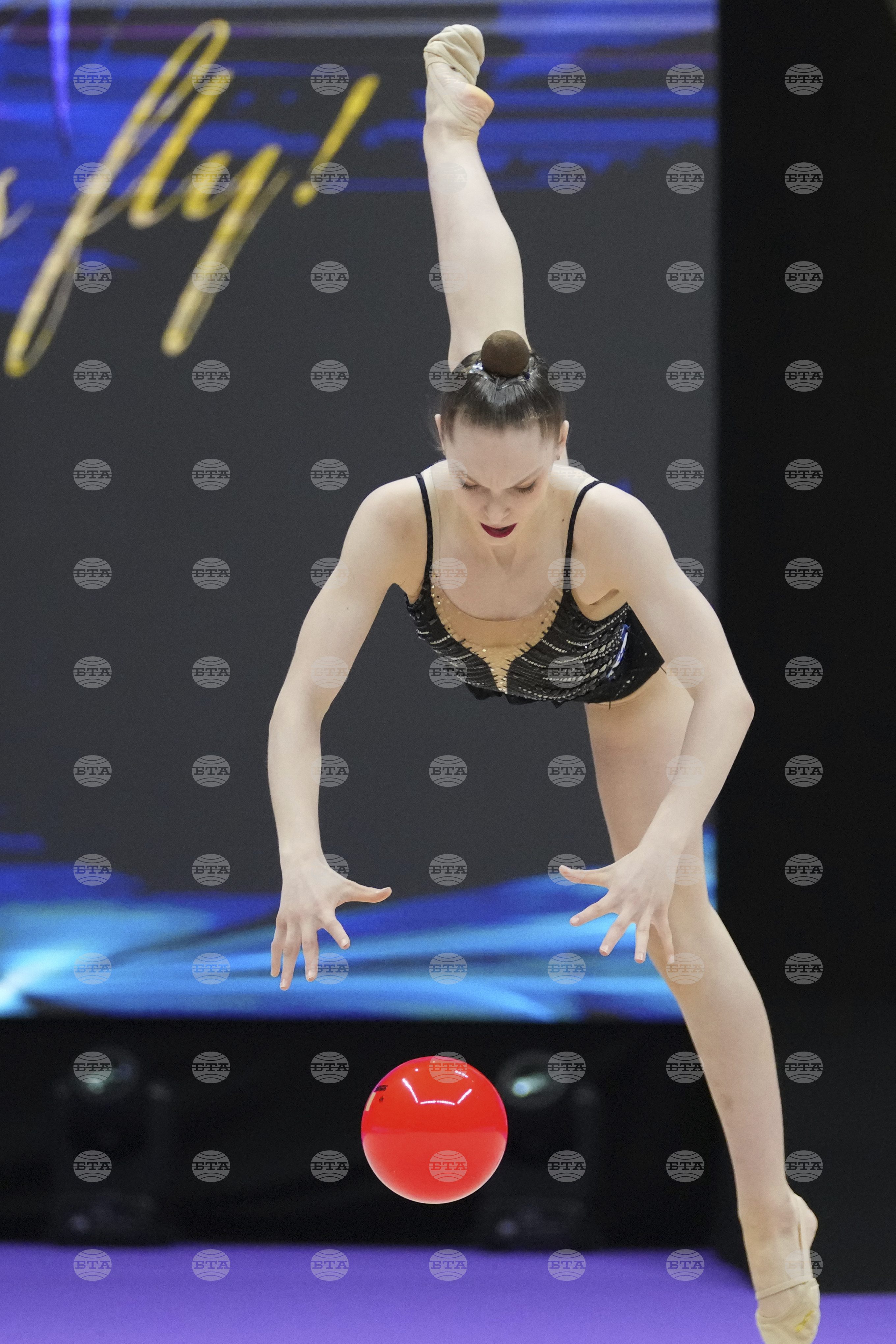 Estonia European Rhythmic Gymnastics