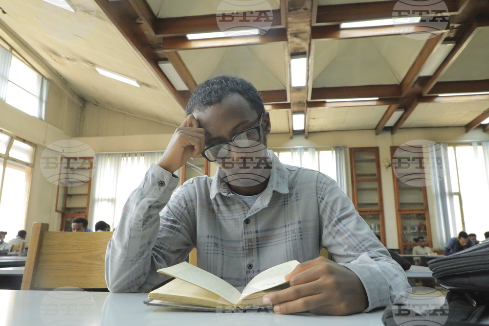 Ethiopia Harvard Student