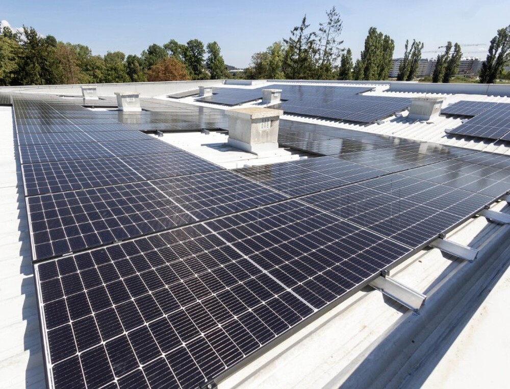 ХИНА: Нова платформа „Дива Хърватия“ ще помага за опазване на биоразнообразието