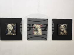 Плевен - изложба - Арт център