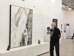 Плевен - изложба - Арт център