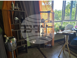 Мездра - Професионална гимназия „Алеко Константинов“