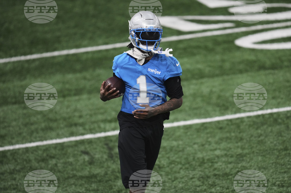 Lions Football