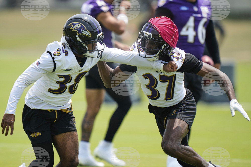 Ravens Football