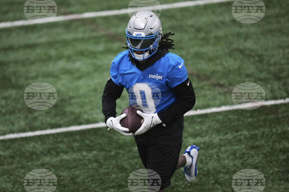 Lions Football