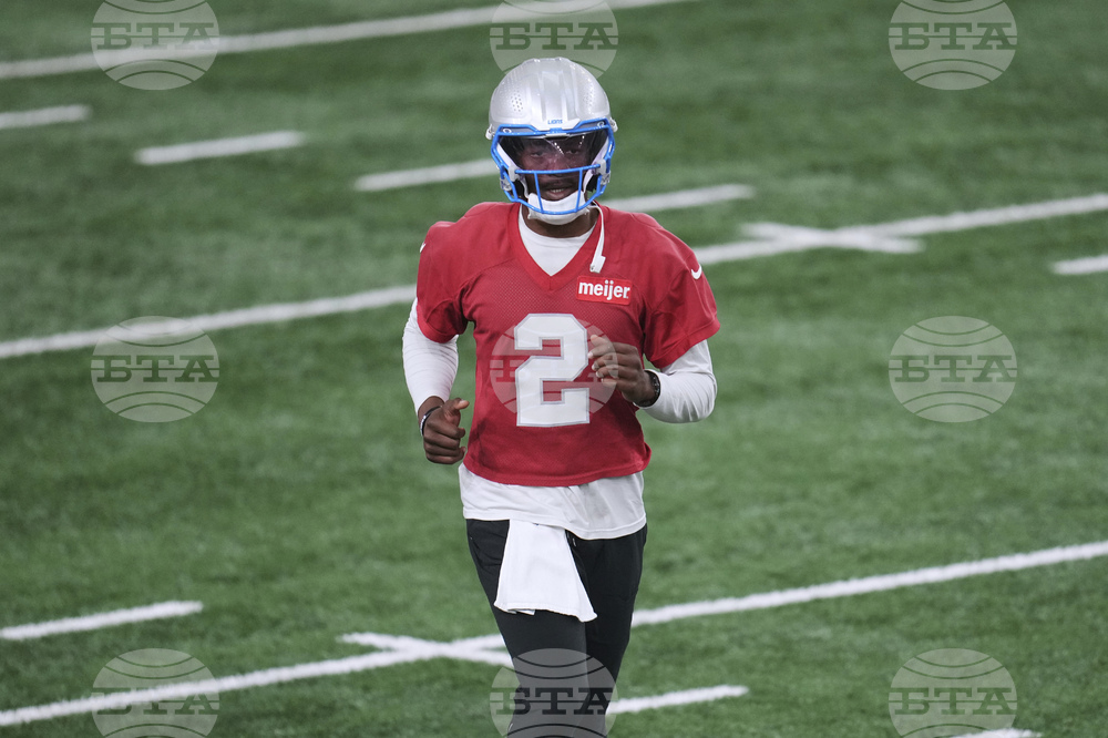 Lions Football