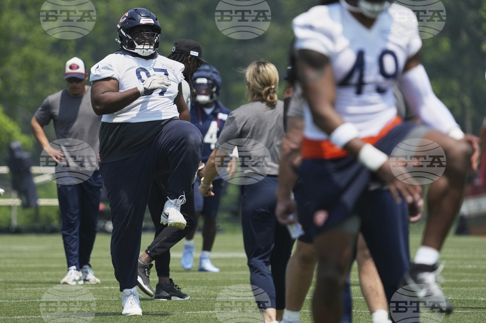 Bears Football