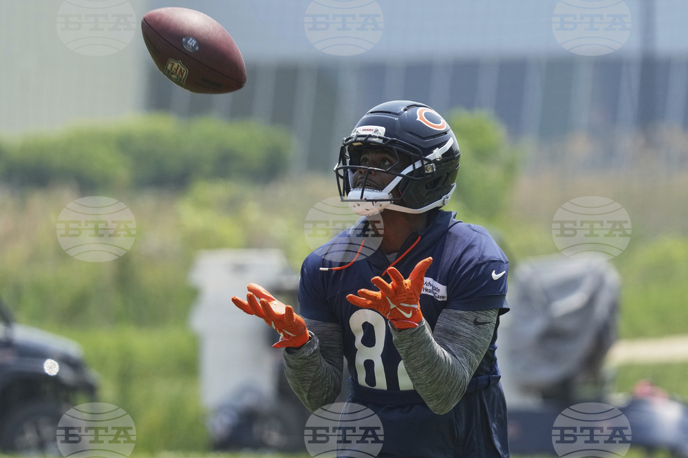 Bears Football