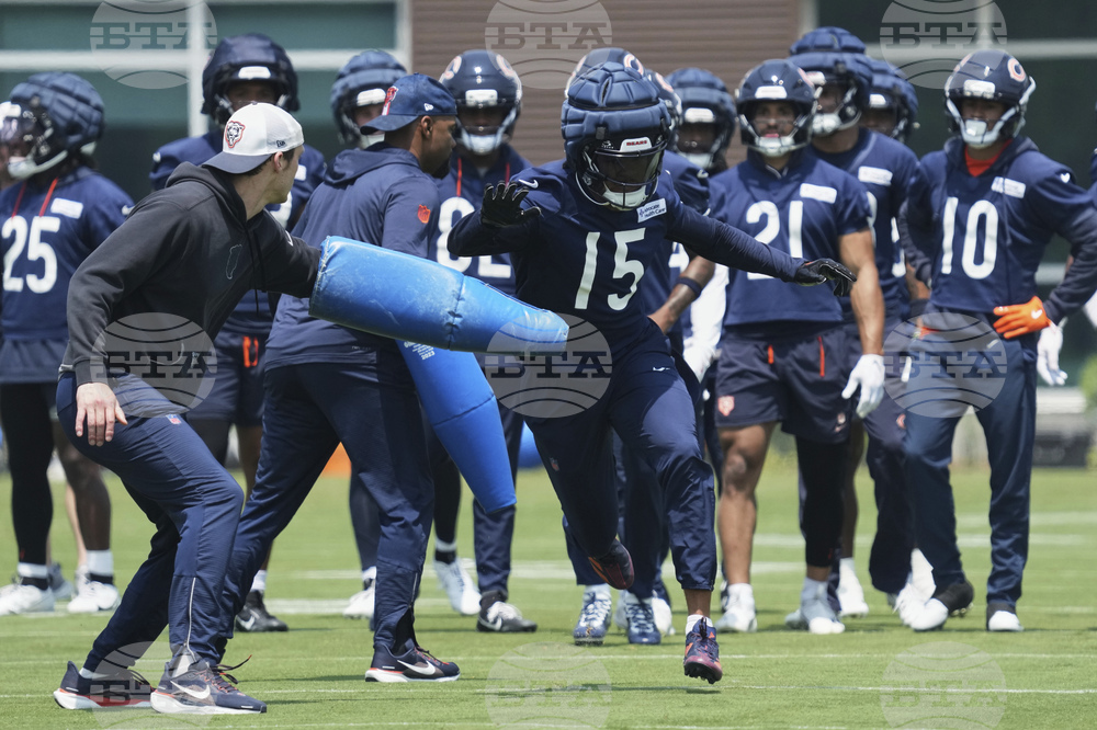 Bears Football