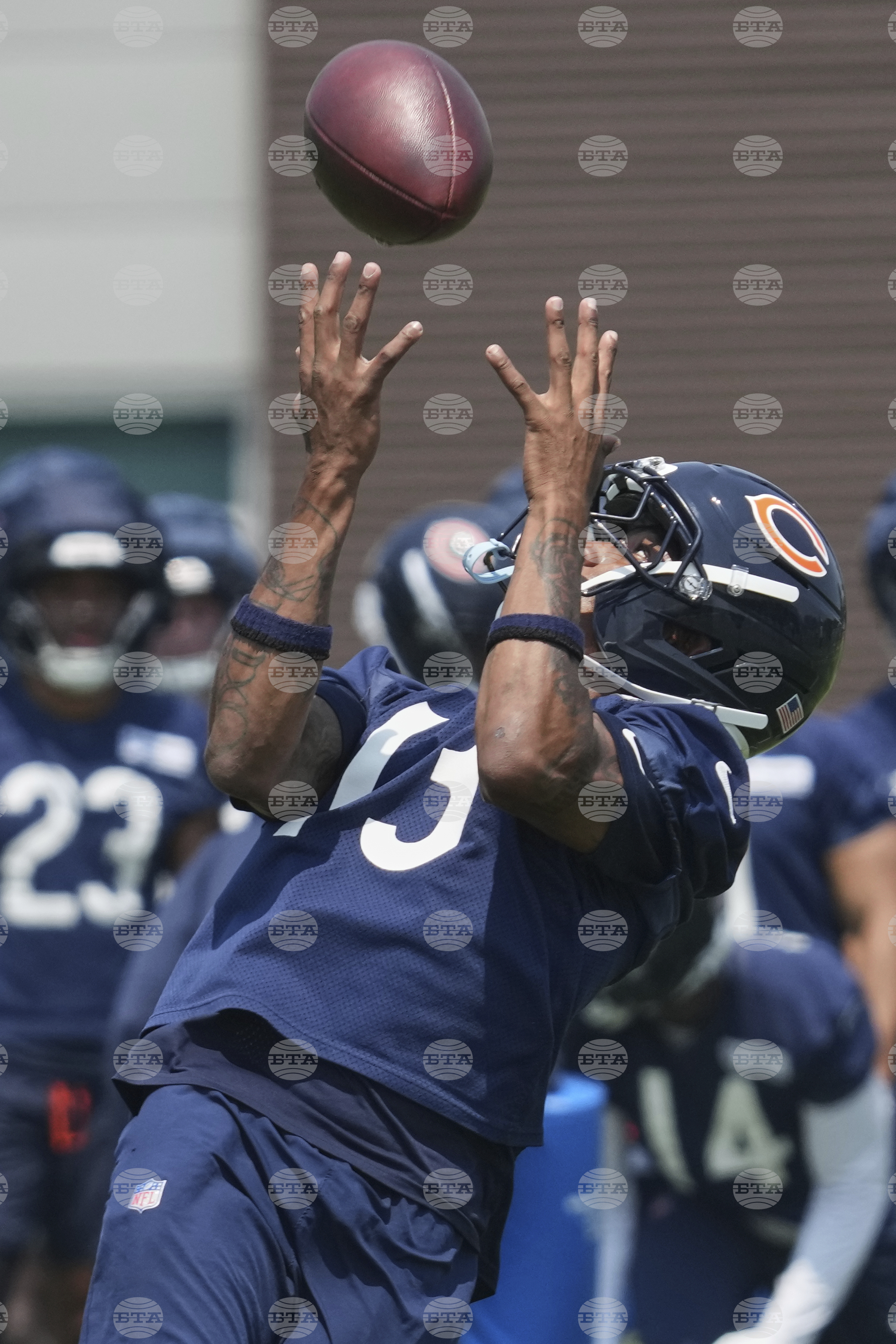 Bears Football