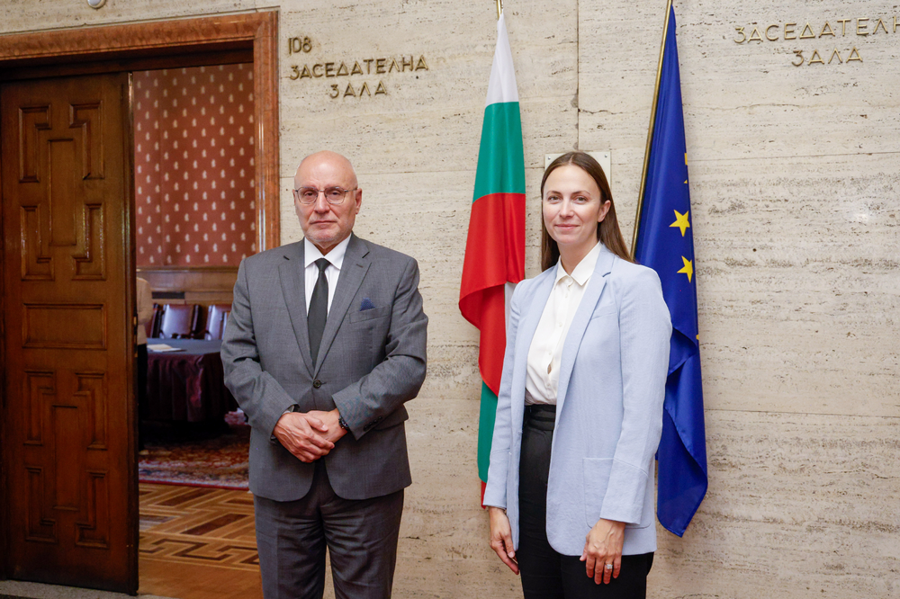 BNB Governor Radev Discusses Bulgaria's Progress to the Eurozone with MEP Maydell