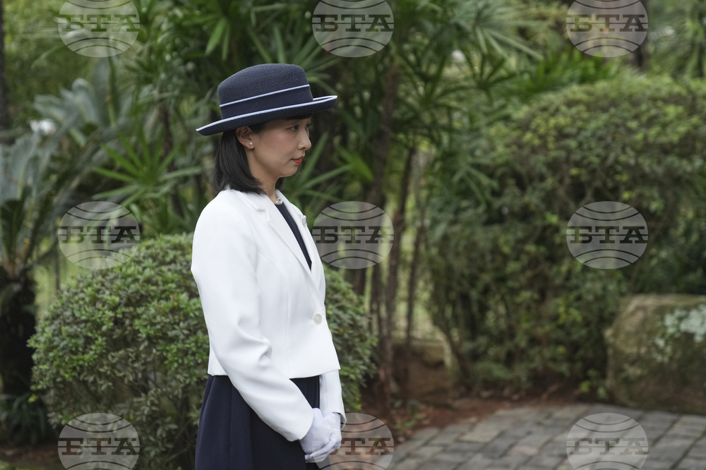 Brazil Japan Princess