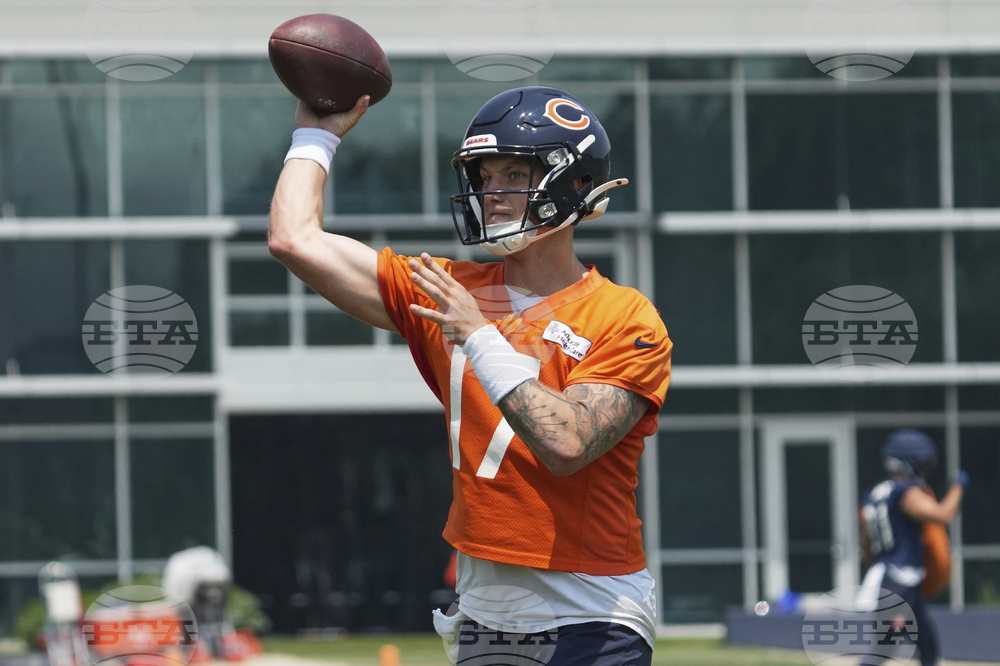 Bears Football