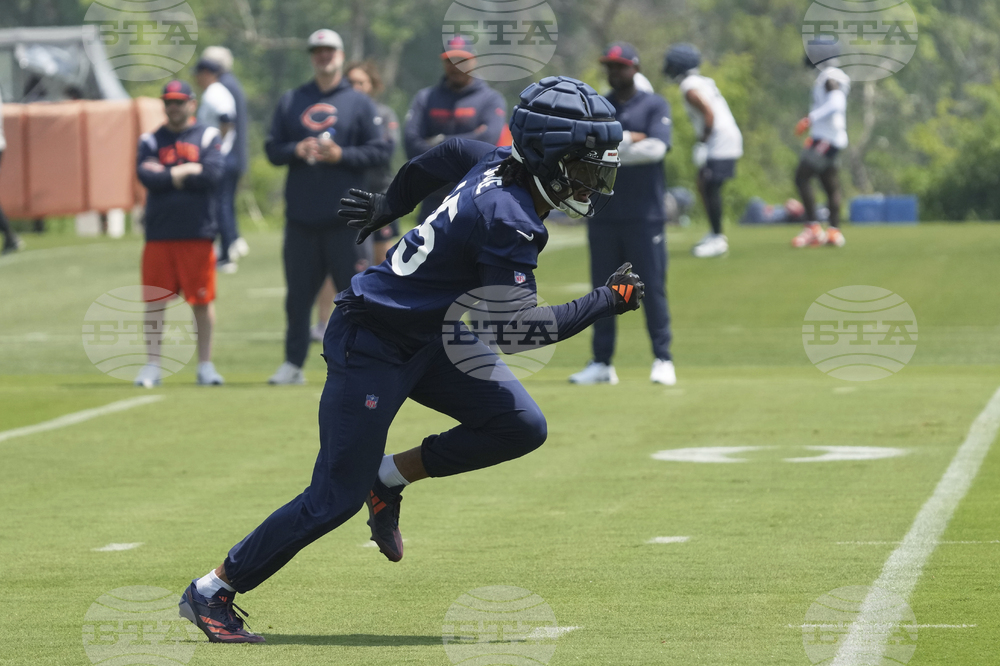 Bears Football