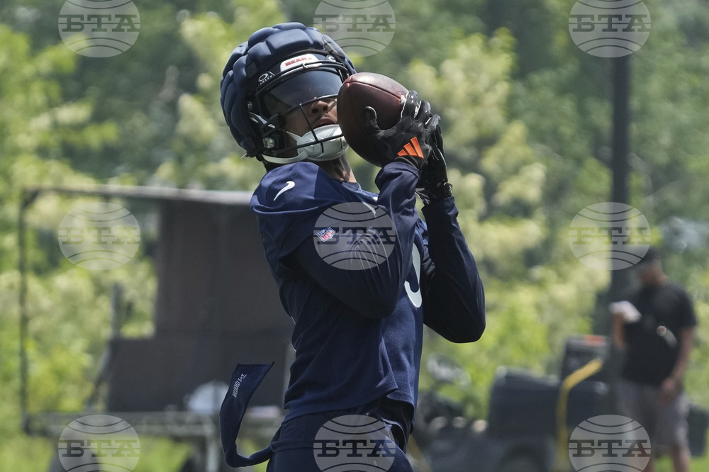 Bears Football