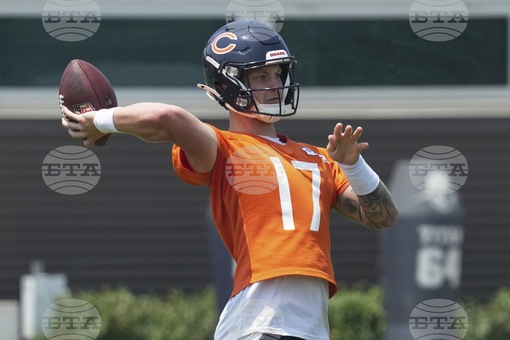 Bears Football