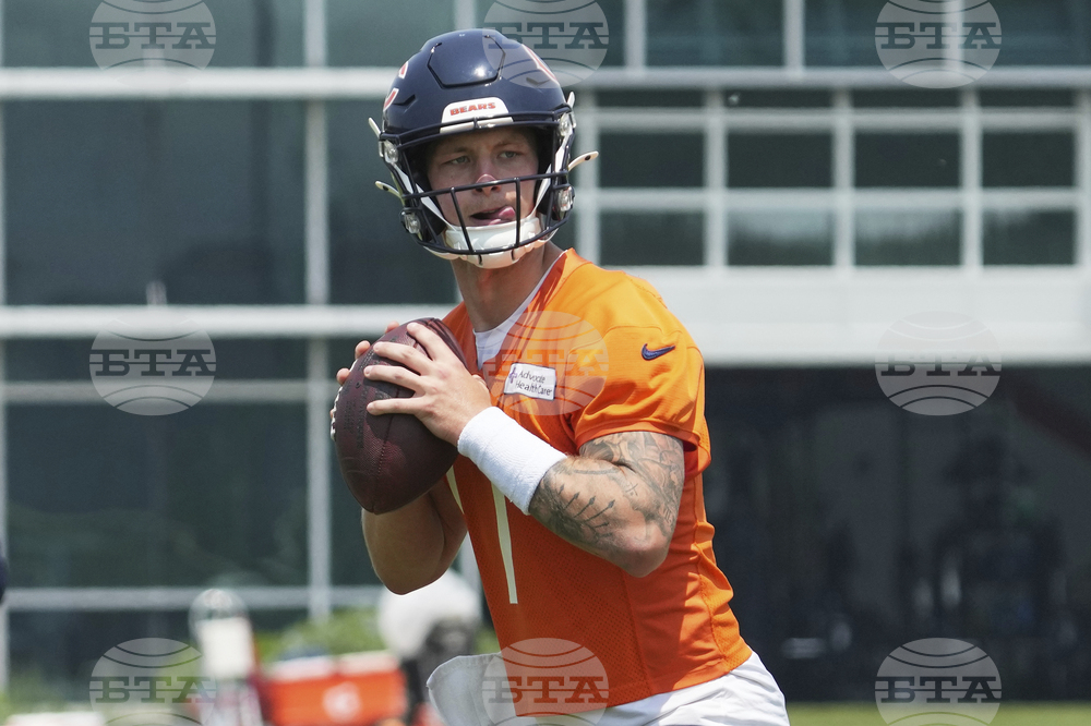 Bears Football