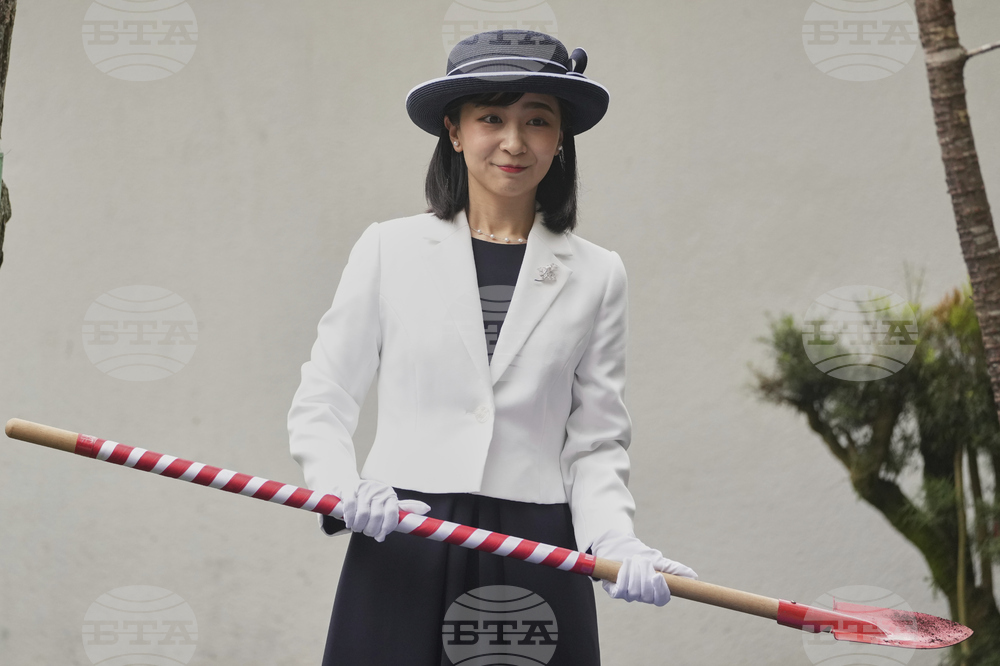 Brazil Japan Princess
