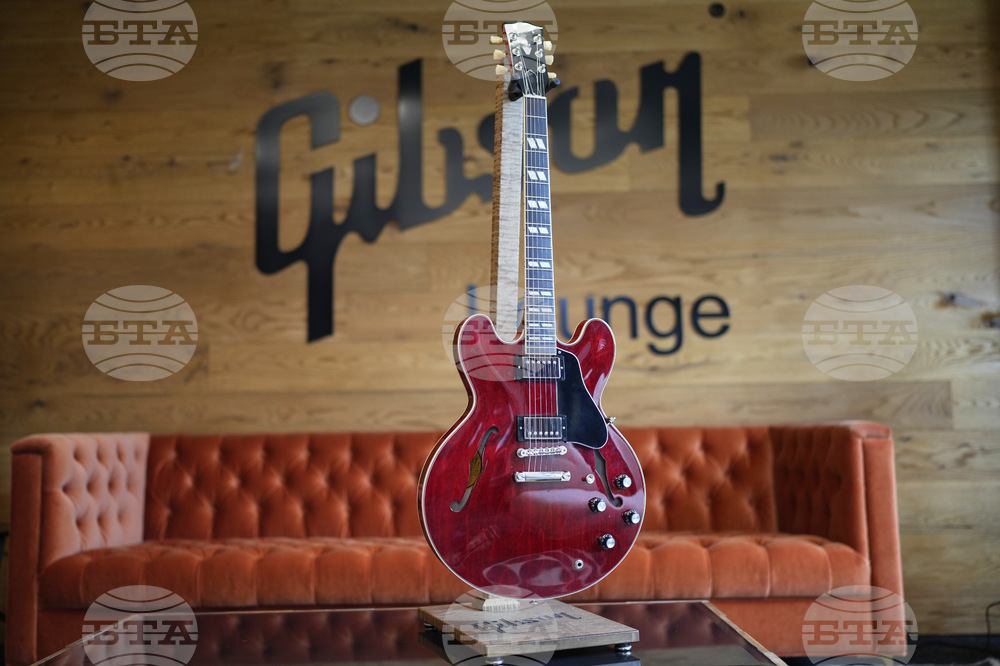 Back To The Future Guitar