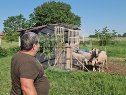 Разград - Курбан байрам - село Дянково
