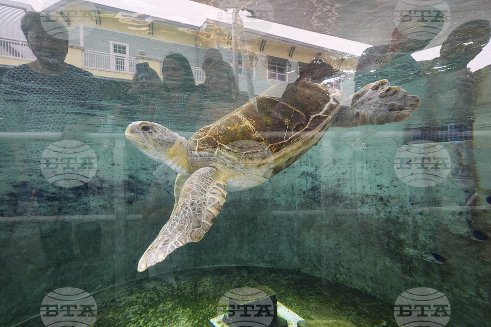Pictures of the Week Global Photo Gallery