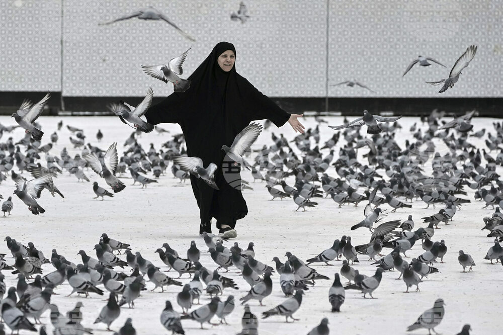 Pictures of the Week Global Photo Gallery