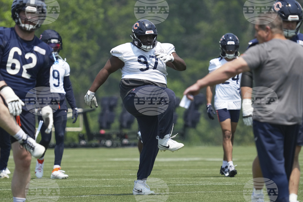 Bears Football