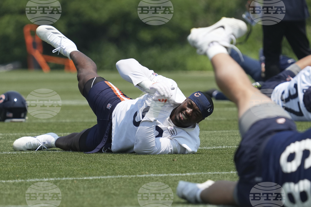 Bears Football