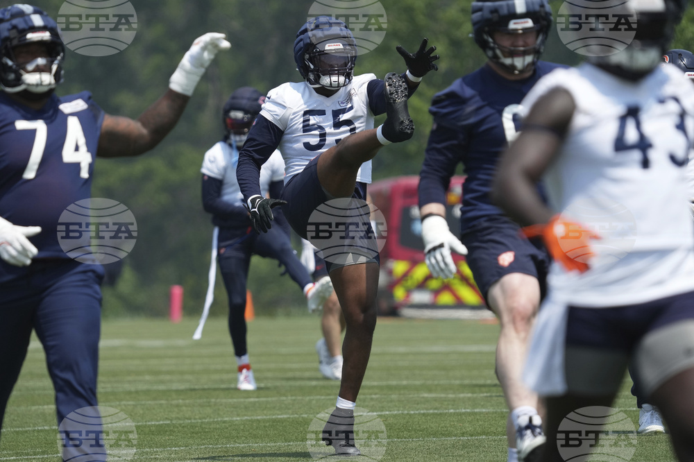 Bears Football