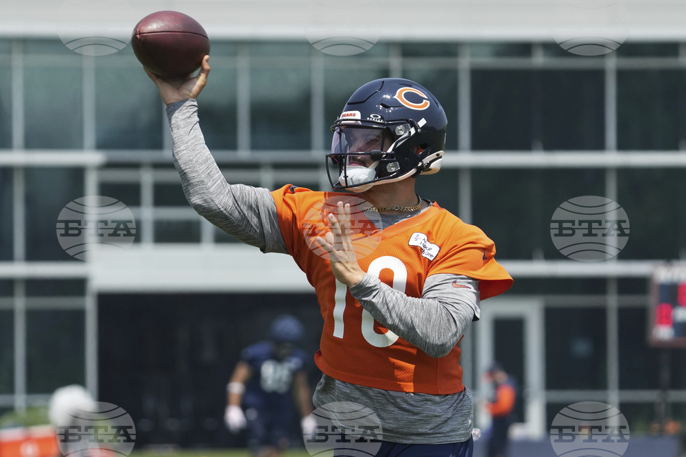 Bears Football