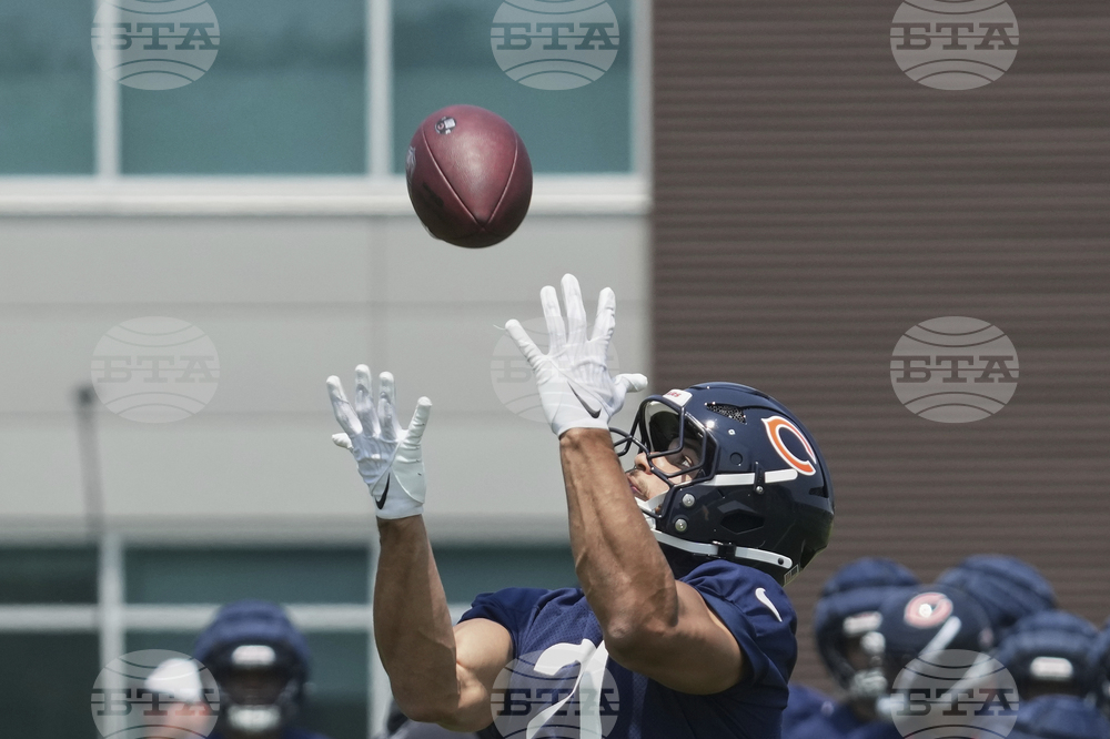Bears Football