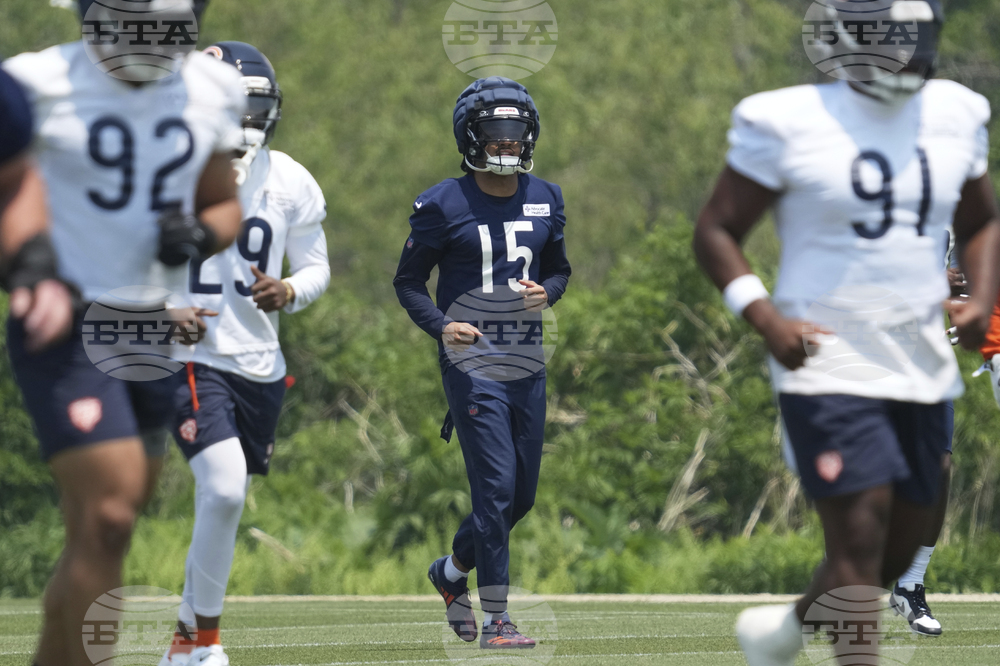 Bears Football
