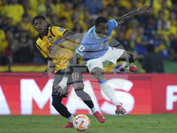 Ecuador Brazil Wcup Soccer