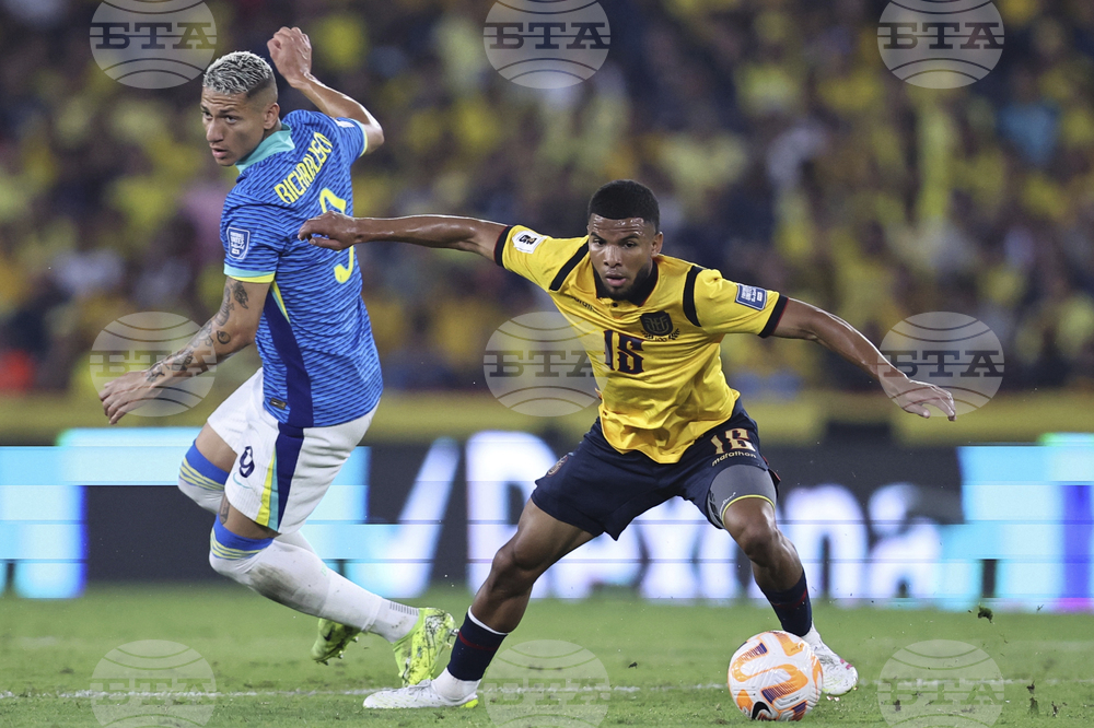 Ecuador Brazil Wcup Soccer