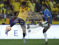 Ecuador Brazil Wcup Soccer