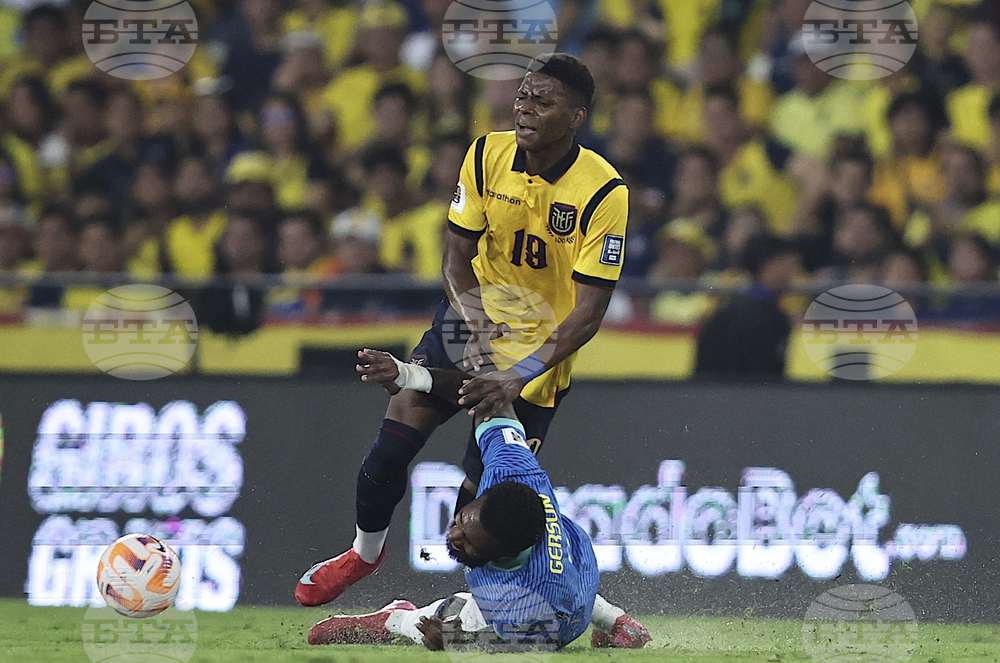 Ecuador Brazil Wcup Soccer