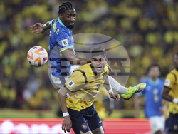 Ecuador Brazil Wcup Soccer