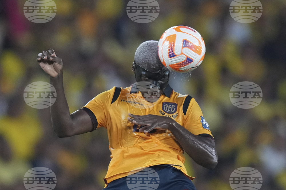 Ecuador Brazil Wcup Soccer
