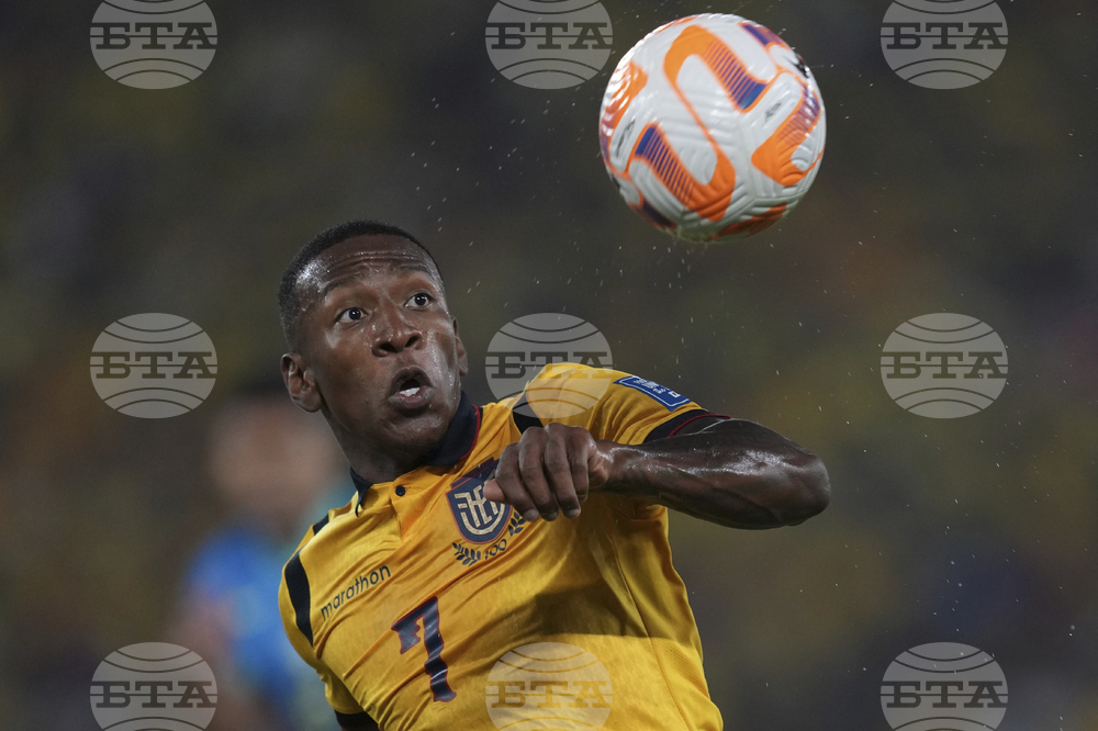Ecuador Brazil Wcup Soccer