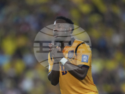 Ecuador Brazil Wcup Soccer